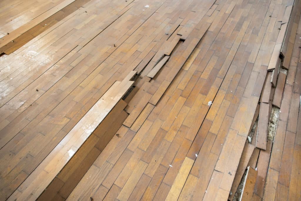 lame parquet cassée